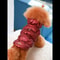 Warm Dog Winter Jacket With 3 Layer Insulation For Small To Medium Dogs 2