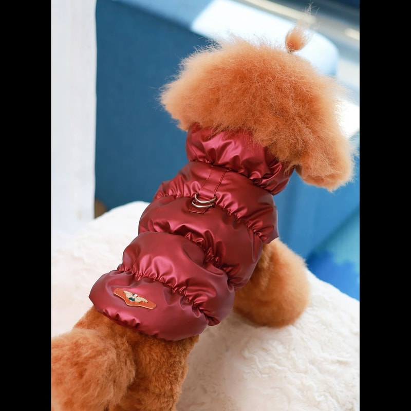 Warm Dog Winter Jacket With 3 Layer Insulation For Small To Medium Dogs 2
