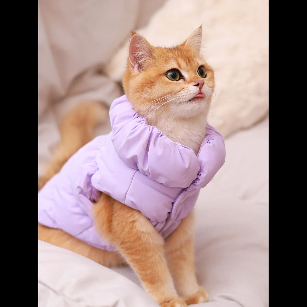 Warm Dog Winter Jacket With 3 Layer Insulation For Small To Medium Dogs 4