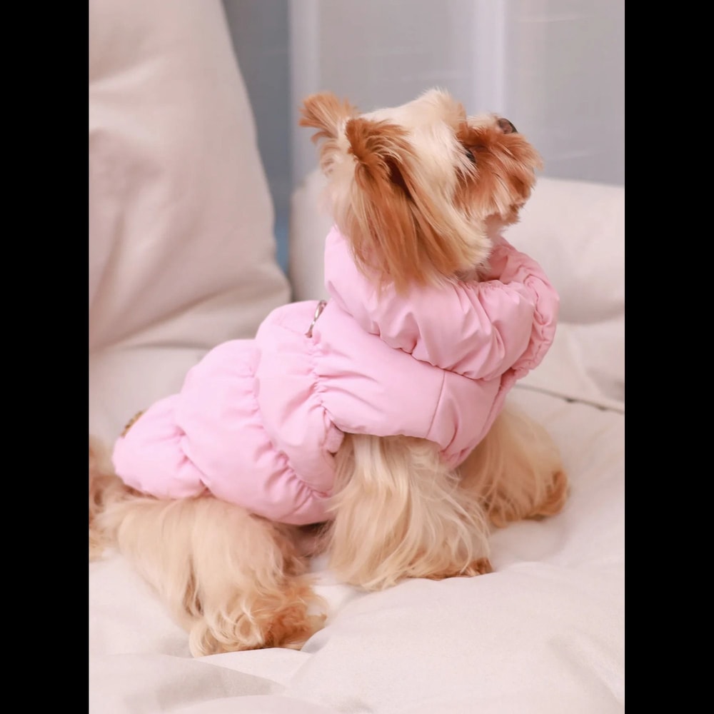 Warm Dog Winter Jacket With 3 Layer Insulation For Small To Medium Dogs 5