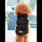 Warm Dog Winter Jacket With 3 Layer Insulation For Small To Medium Dogs 7