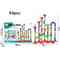 Kids Marble Run Building Blocks Race Track Set 21
