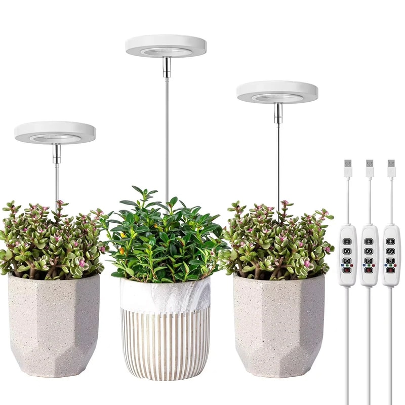 Full Spectrum LED Grow Light With Timer And Adjustable Height For Indoor Plants 10