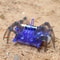 Kids Electric Robot Spider DIY STEM Assembly Toy 2