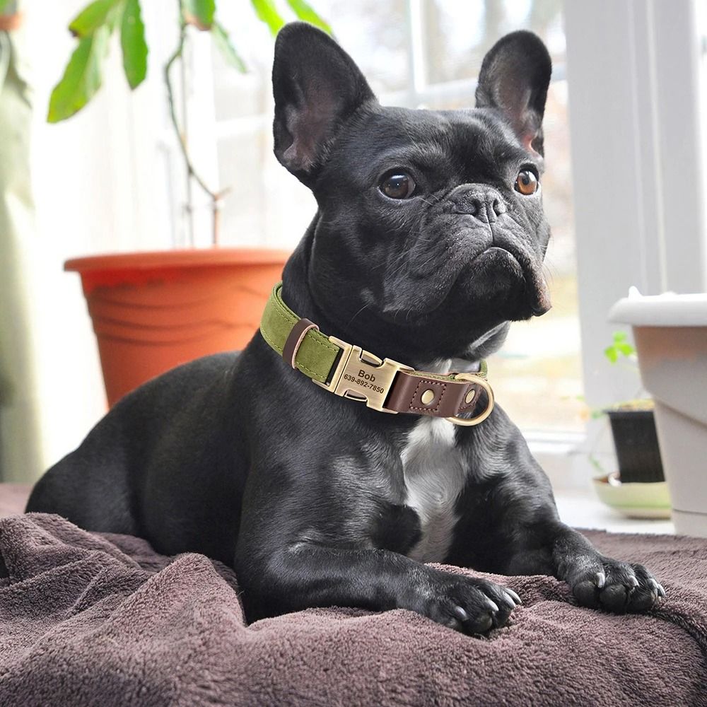 Custom Engraved PU Leather Dog Collar Adjustable ID Buckle 11