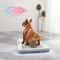 Portable Indoor Dog Training Toilet Pet Potty Pad Holder Tray 0