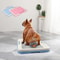 Portable Indoor Dog Training Toilet Pet Potty Pad Holder Tray 0