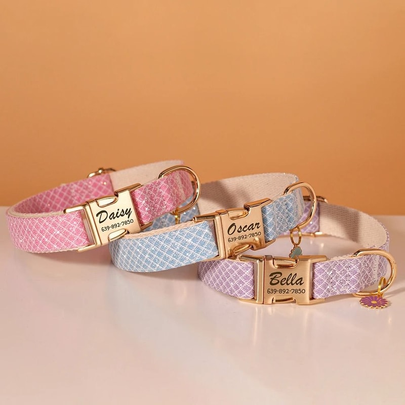 Bling Nylon Custom Dog Collar Engraved Flower ID Buckle 4