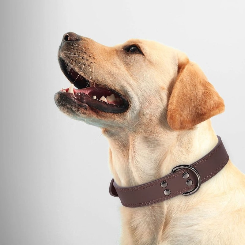 Soft Genuine Leather Dog Collar Durable Pet Collar For All Dog Sizes 7