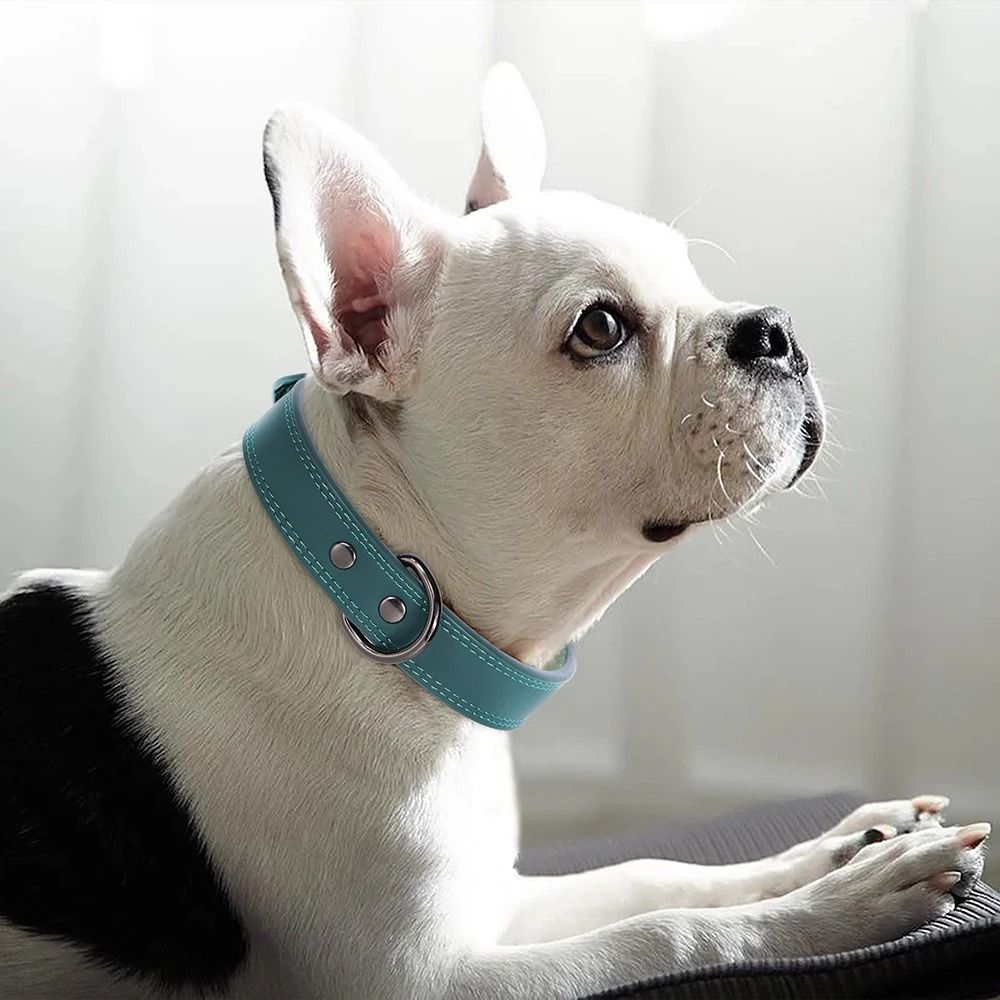 Soft Genuine Leather Dog Collar Durable Pet Collar For All Dog Sizes 8