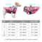 Waterproof Winter Dog Jacket Warm Vest For Small Dogs 8