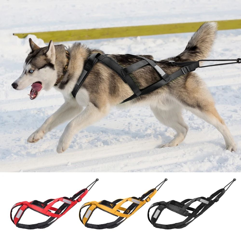 Waterproof Reflective Dog Sledding Harness Weight Pulling Vest 9