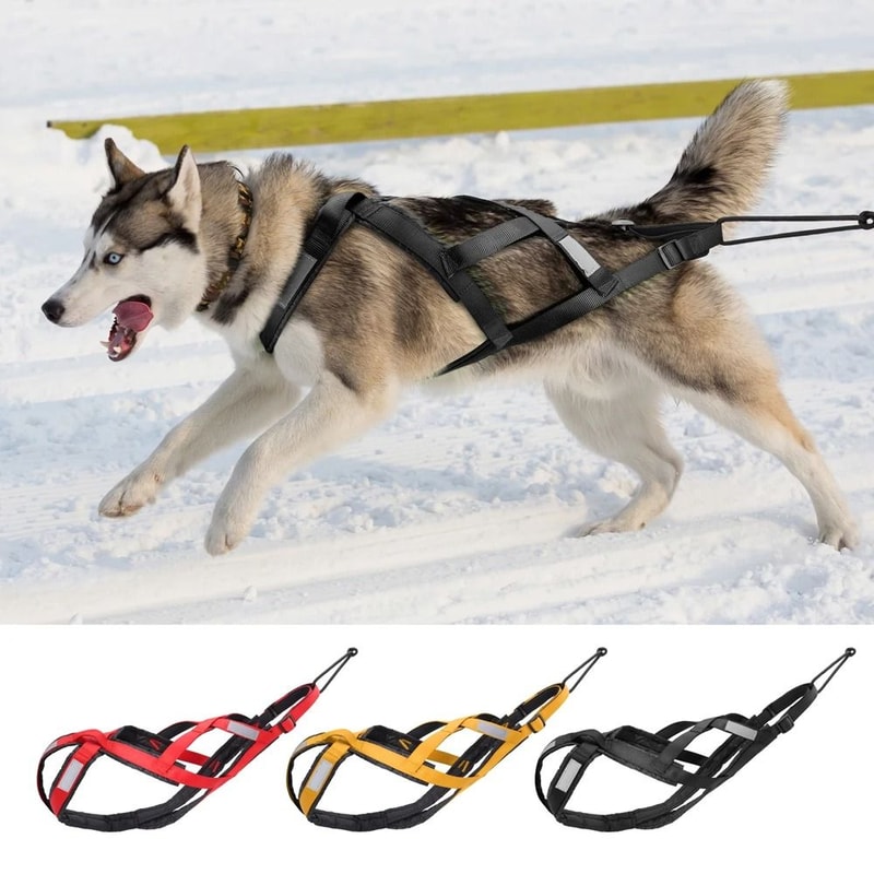 Waterproof Reflective Dog Sledding Harness Weight Pulling Vest 9