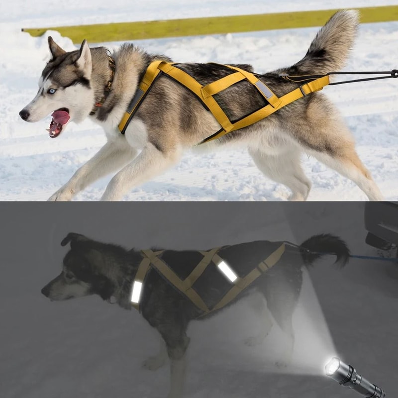 Waterproof Reflective Dog Sledding Harness Weight Pulling Vest 2