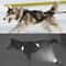 Waterproof Reflective Dog Sledding Harness Weight Pulling Vest 3