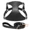 Soft Genuine Leather Dog Harness And Leash Set For Small Medium Pets 5