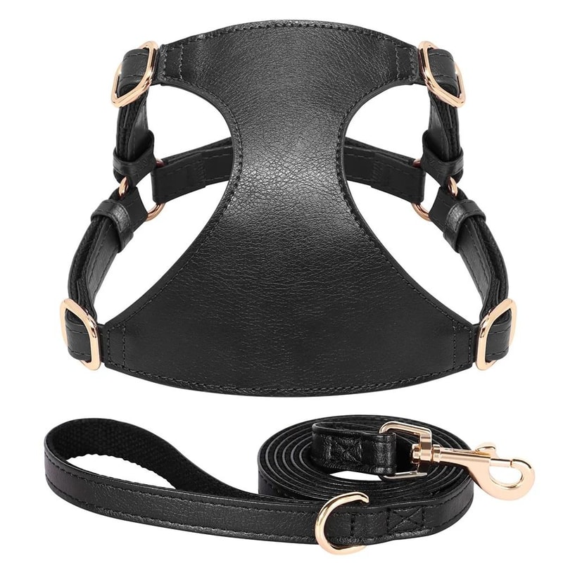 Soft Genuine Leather Dog Harness And Leash Set For Small Medium Pets 5