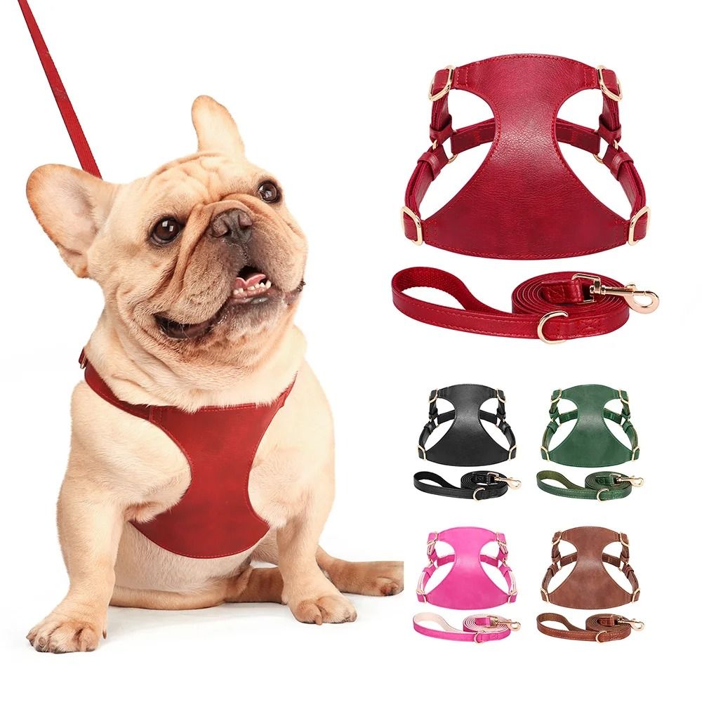 Soft Genuine Leather Dog Harness And Leash Set For Small Medium Pets 0