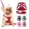 Soft Genuine Leather Dog Harness And Leash Set For Small Medium Pets 0