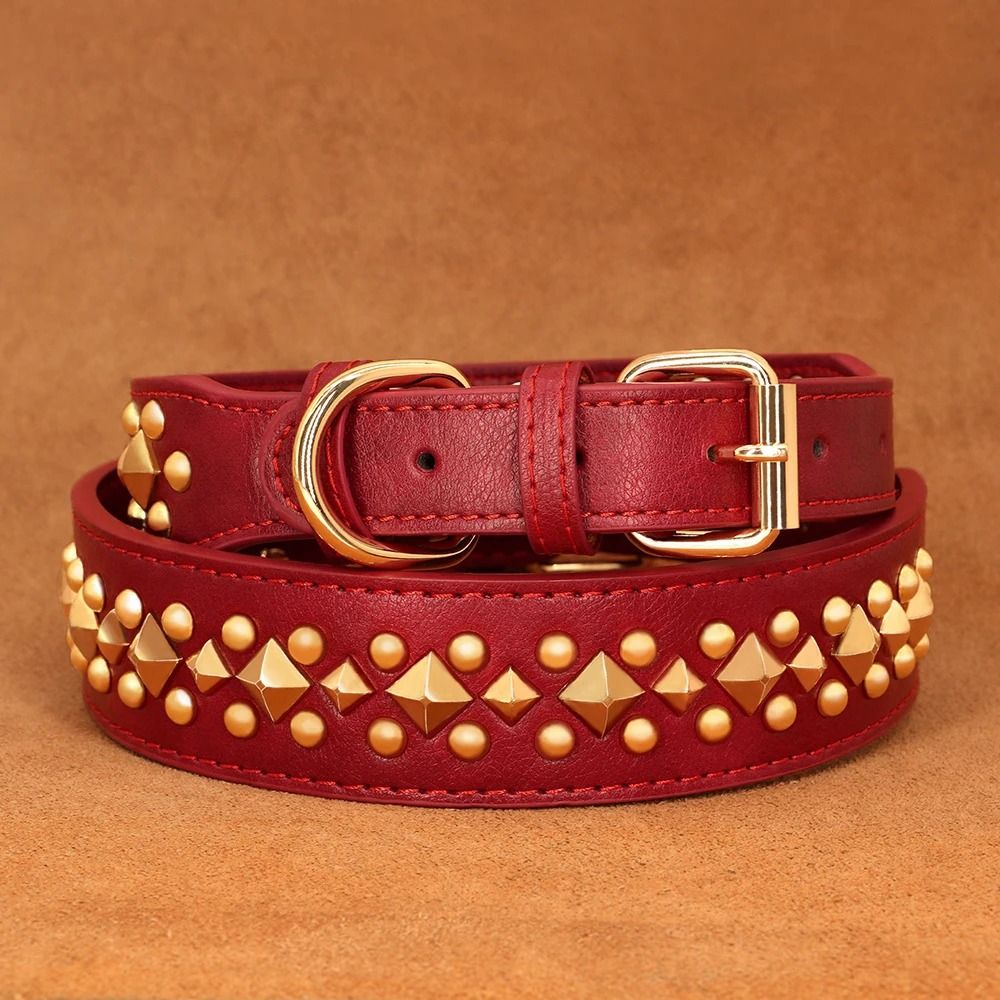 Spiked Leather Dog Collar For Strong And Stylish Dogs 4