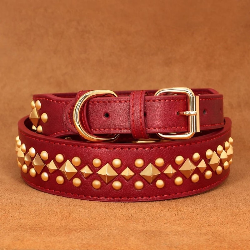 Spiked Leather Dog Collar For Strong And Stylish Dogs 4