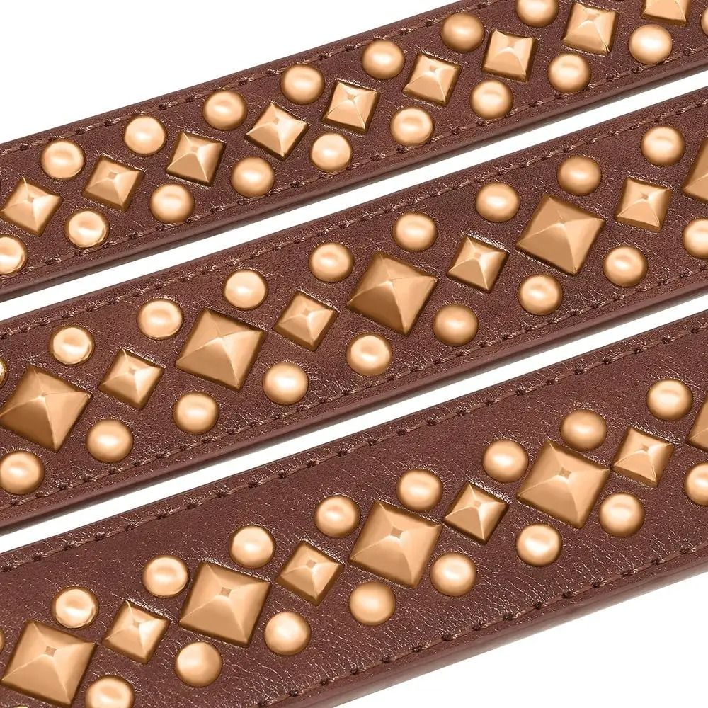 Spiked Leather Dog Collar For Strong And Stylish Dogs 6