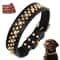 Spiked Leather Dog Collar For Strong And Stylish Dogs 7