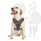 Durable Leather Dog Training Harness With Control Handle For Large Dogs 4