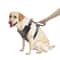 Durable Leather Dog Training Harness With Control Handle For Large Dogs 5