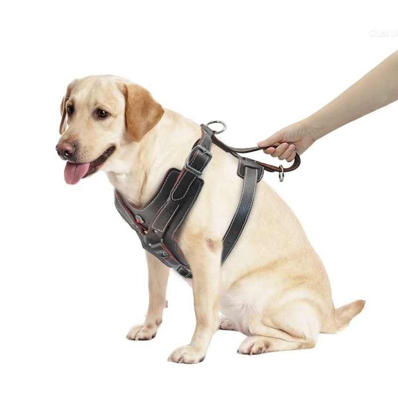 Durable Leather Dog Training Harness With Control Handle For Large Dogs 5