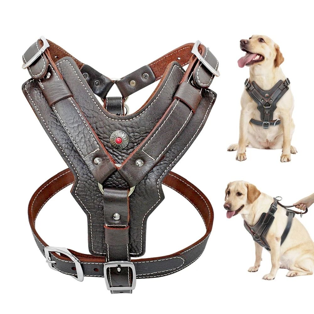 Durable Leather Dog Training Harness With Control Handle For Large Dogs 0