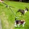 Two Way No Tangle Double Dog Leash For Walking And Training 0