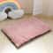 Soft Thick Washable Dog Bed Mat With Removable Cushion 3