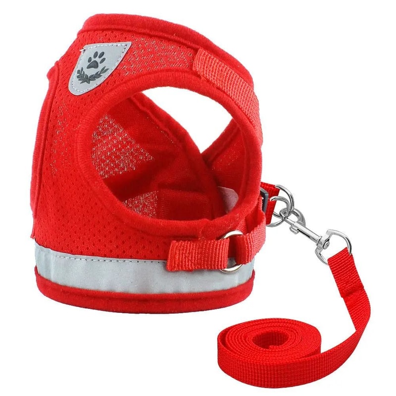 Reflective Mesh Cat And Small Dog Harness Leash Set 1