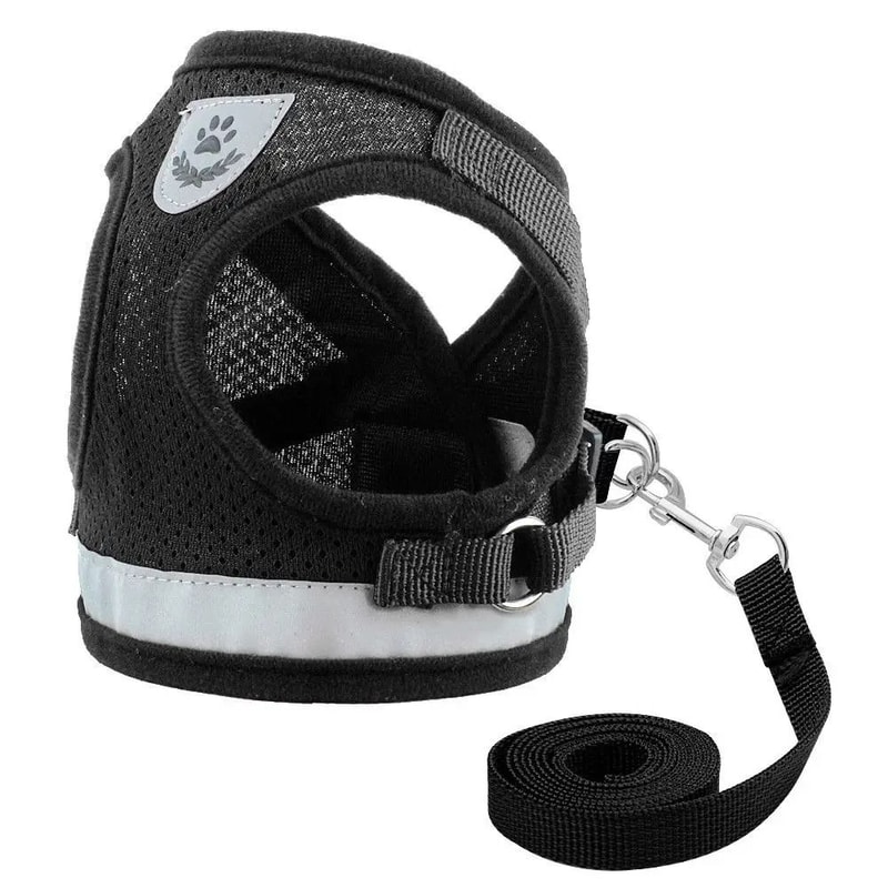 Reflective Mesh Cat And Small Dog Harness Leash Set 3