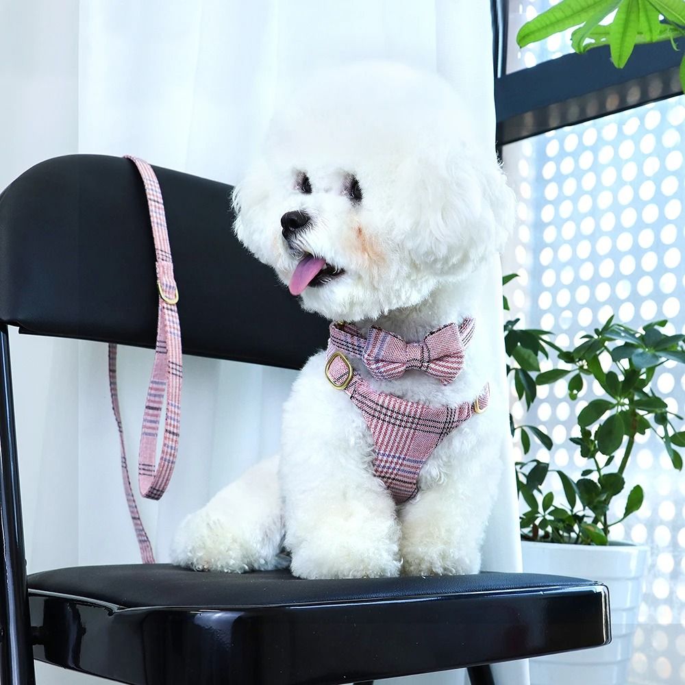 Adjustable Nylon Dog Harness Collar And Leash Set With Bow For Small And Medium Dogs 0
