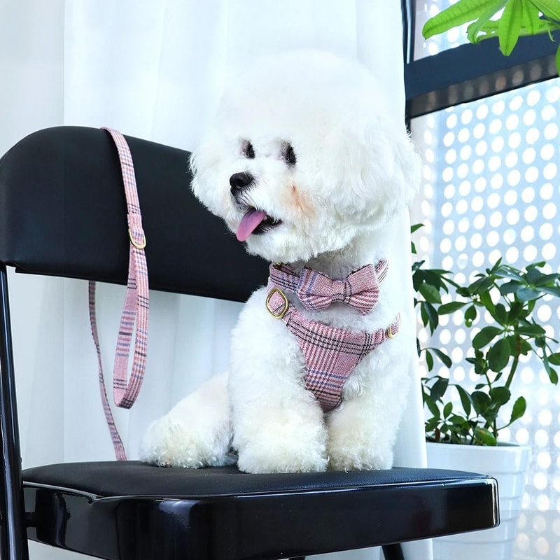 Adjustable Nylon Dog Harness Collar And Leash Set With Bow For Small And Medium Dogs 0