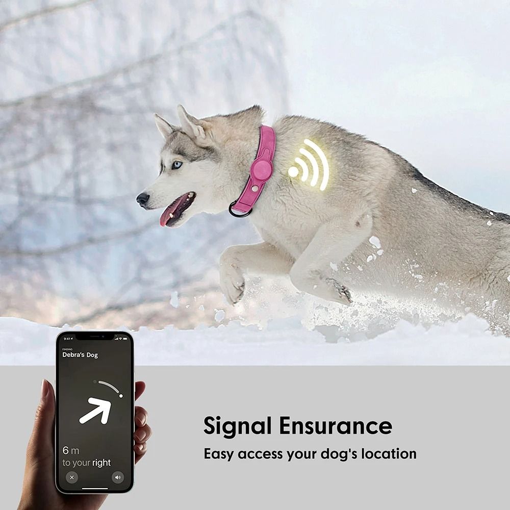 Adjustable PU Leather Dog Collar With Anti Lost Tag For Small And Medium Dogs 4