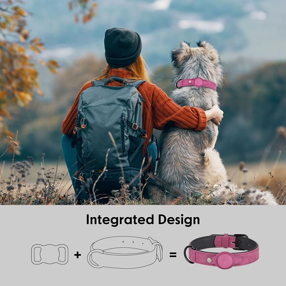 Adjustable PU Leather Dog Collar With Anti Lost Tag For Small And Medium Dogs 5