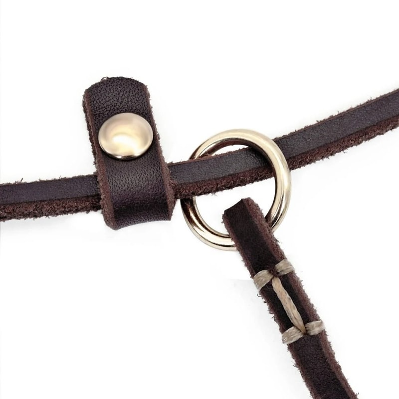 Leather Dog Leash With Slip Chain Collar For Small Dogs 4ft And 5ft Lengths 5