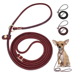 leather dog leash with slip chain collar for small dogs 4ft and 5ft lengths