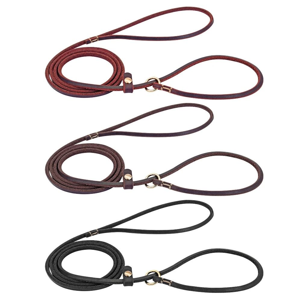 Leather Dog Leash With Slip Chain Collar For Small Dogs 4ft And 5ft Lengths 7