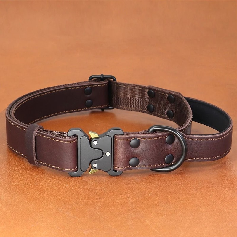 Genuine Leather Dog Collar With Handle And Safety Buckle For Medium And Large Dogs 1