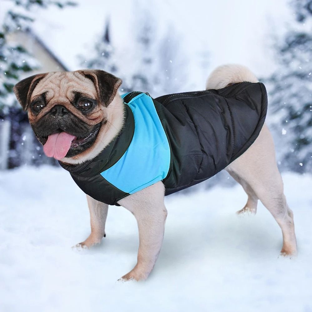 Waterproof Winter Dog Jacket Warm Vest Coat For Medium And Large Dogs 6