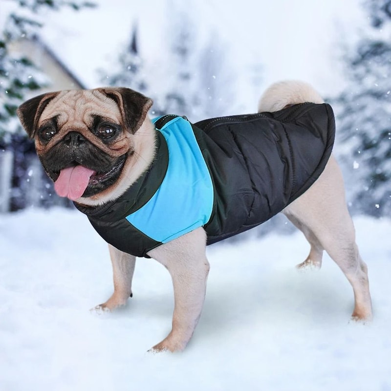 Waterproof Winter Dog Jacket Warm Vest Coat For Medium And Large Dogs 6