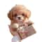 Kids Plush Electric Dog Toy Interactive Smart Pet Puppy Doll 7