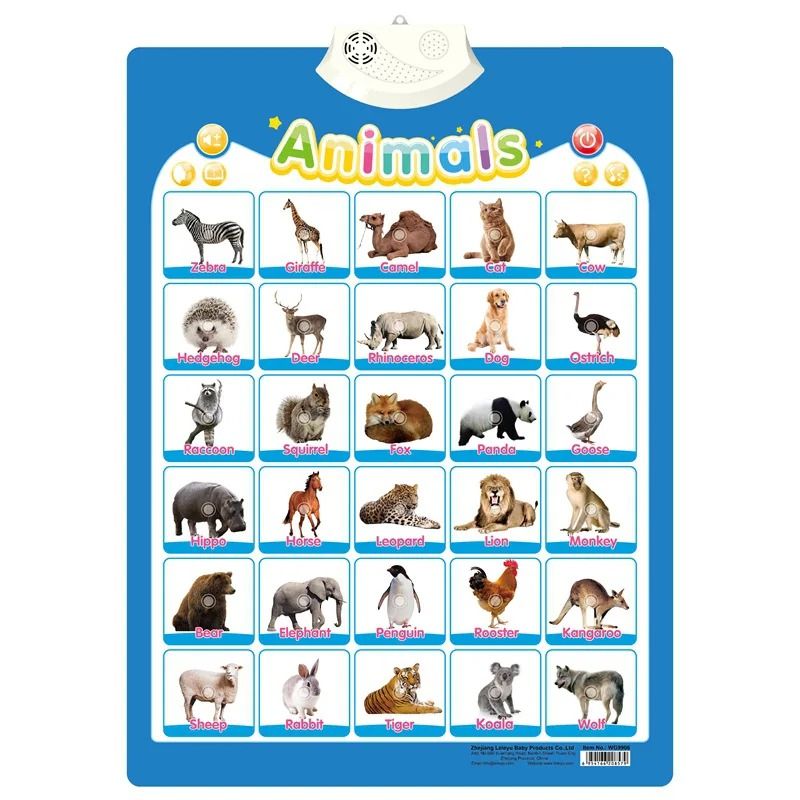 Electronic Alphabet Wall Chart Interactive ABC Learning Poster For Toddlers 6