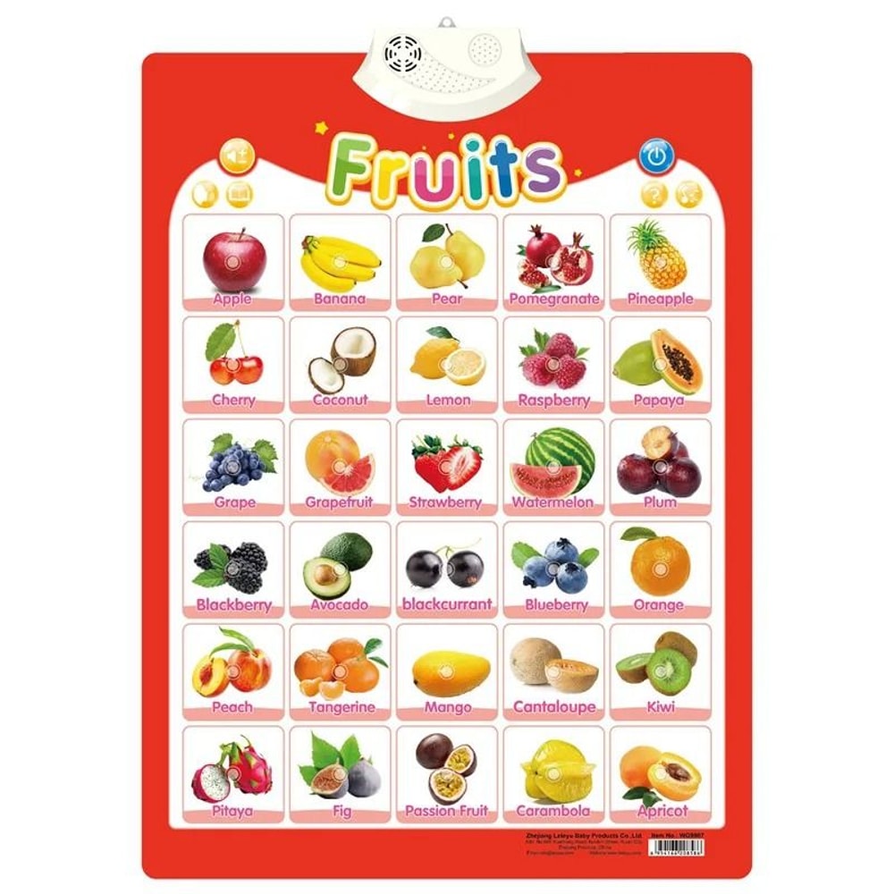Interactive Alphabet Wall Chart Talking ABC Educational Learning Poster For Kids 8