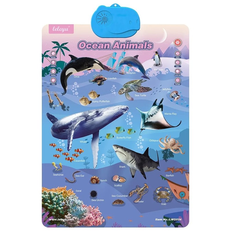 Interactive Alphabet Wall Chart Talking ABC Educational Learning Poster For Kids 10