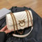 High End Chain Crossbody Swallow Small Square Bag 8